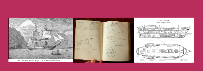 Francois Jacob: Εγκώμιο του δαρβινισμού