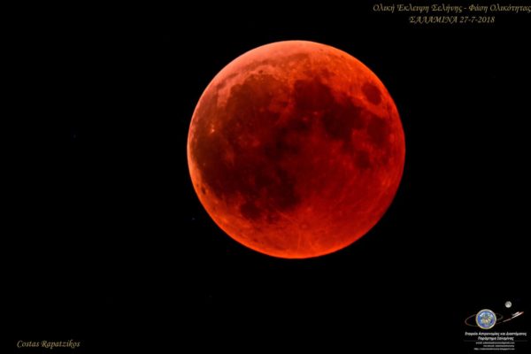 DSC_2929 Neo_sm DSC_2929 Neo_sm