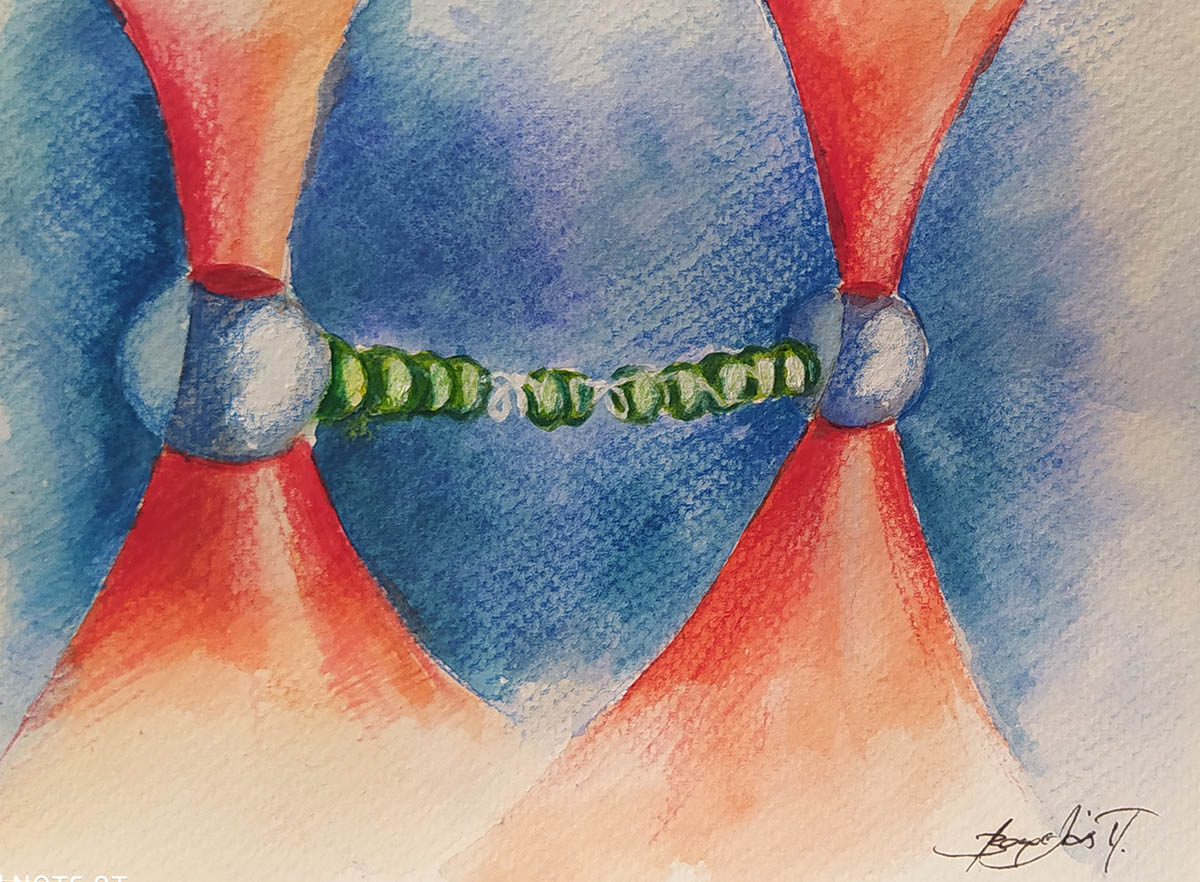 ΟΠΤΙΚΕΣ ΛΑΒΙΔΕΣ: Η εργαλειοθήκη του μικρόκοσμου